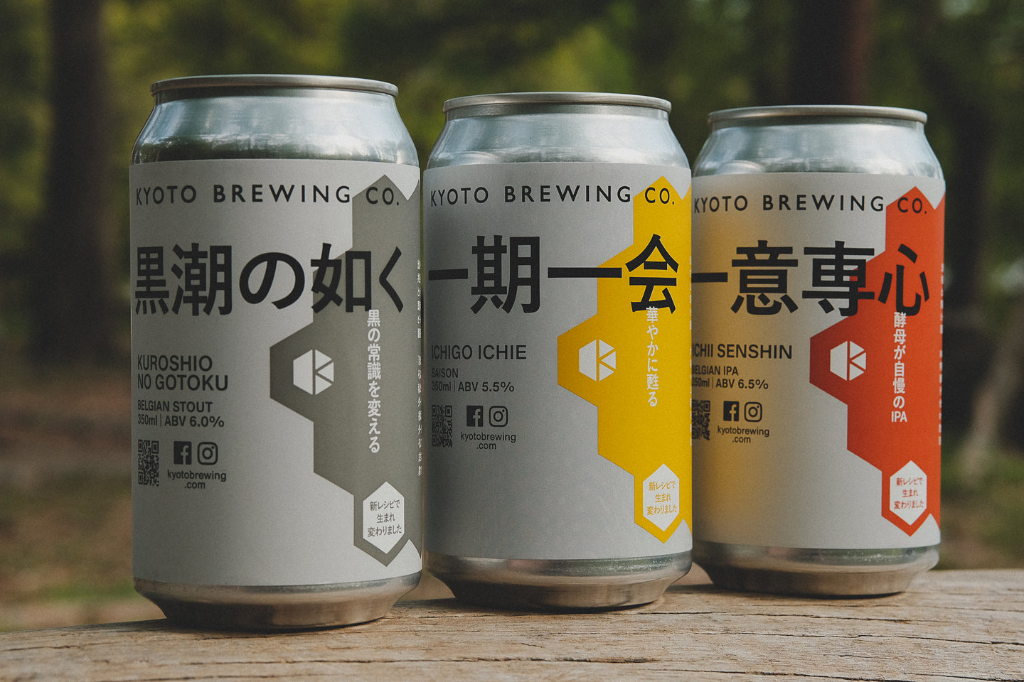 私たちが支援を呼びかける理由