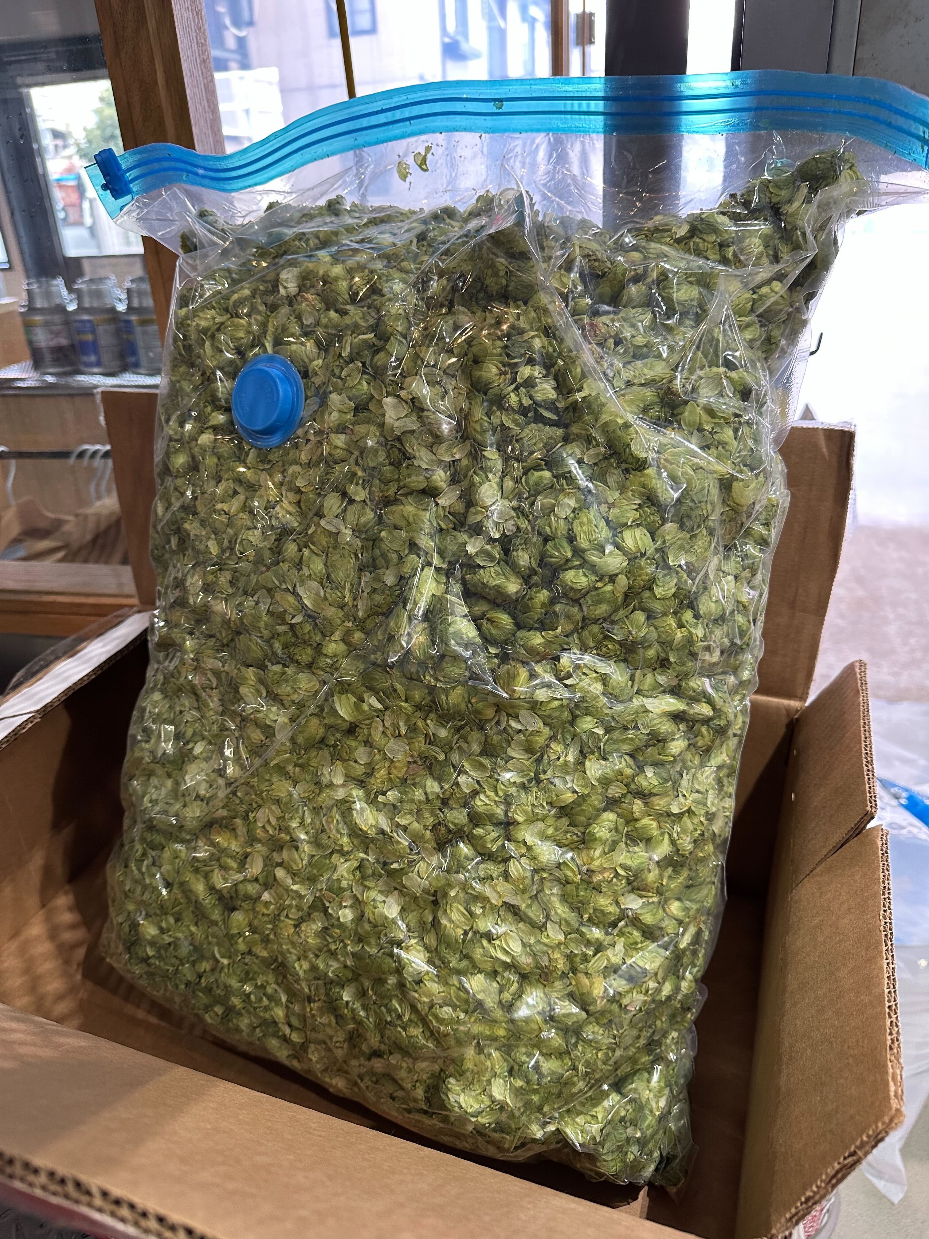 仲間と造る W/ Flora Fermentation | Kyoto Brewing Co. - Online Store