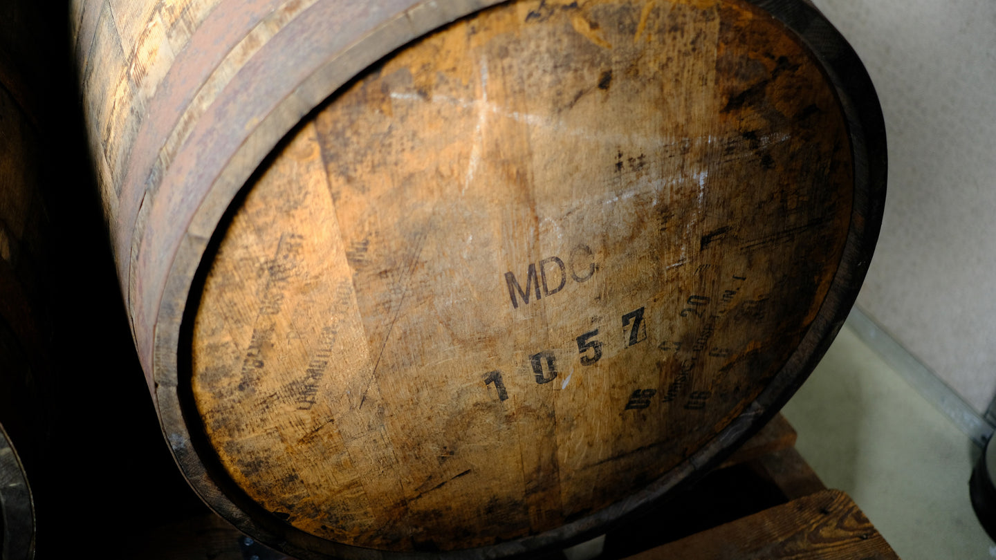 新シリーズ2022「木霊 -Kodama-」