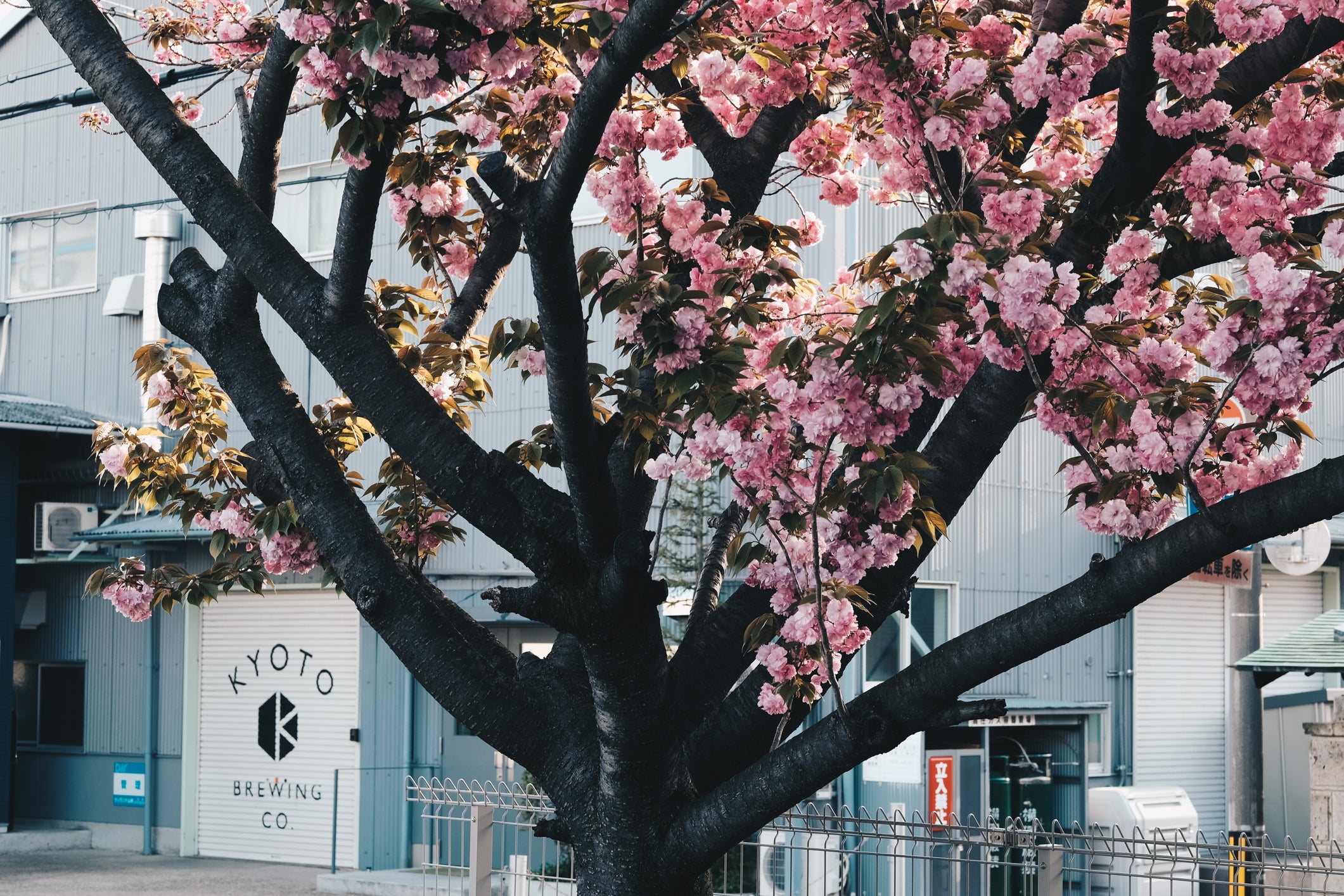 一昼夜 メキシカンコーヒースタウト編 (Itchuya - Mexican Coffee
