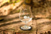 KBCロゴ グラス (KBC Logo Glass)